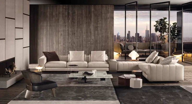 Minotti Freeman